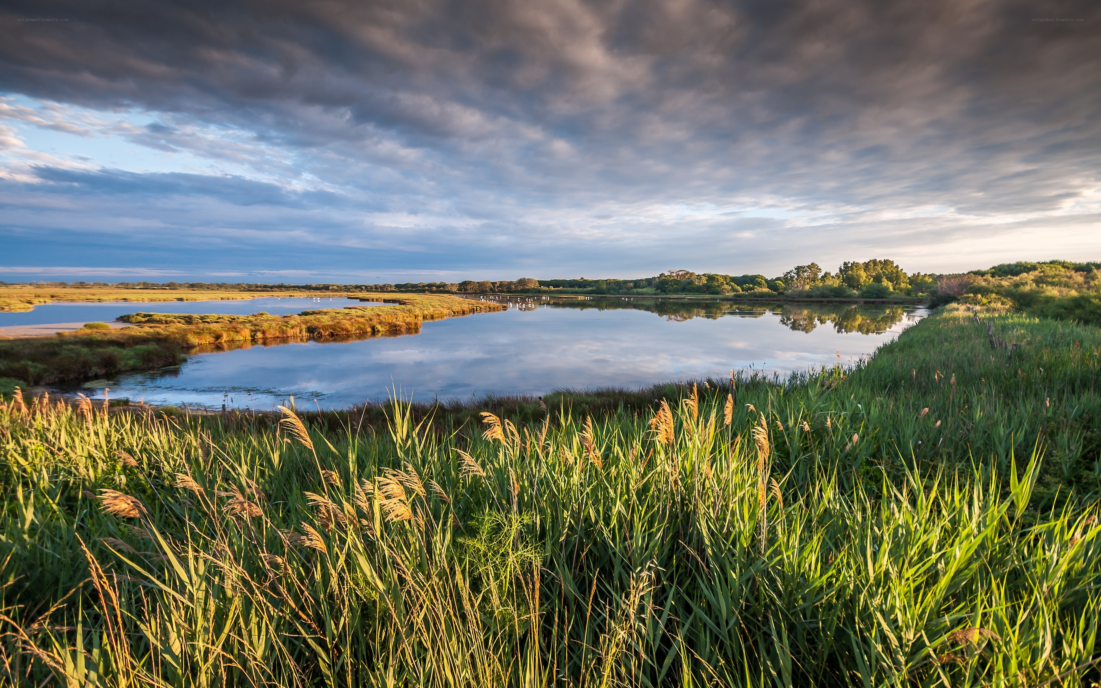 Marshland at sunset