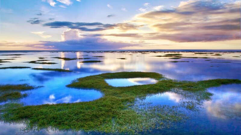 Marshland at Sunset — Blue, Serene, Photograph