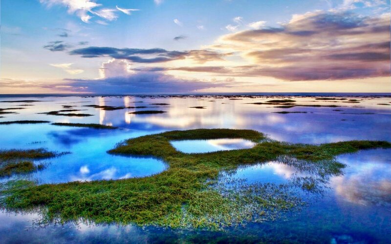 Marshland at Sunset — Blue, Serene