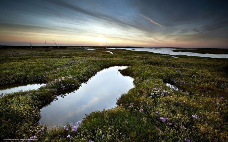 Marshland at Sunset — Green, Serene