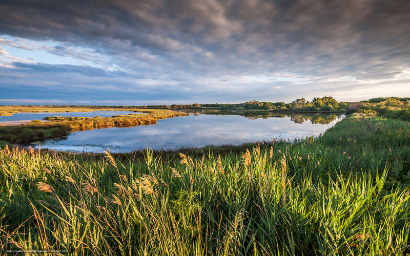 Marshland at Sunset