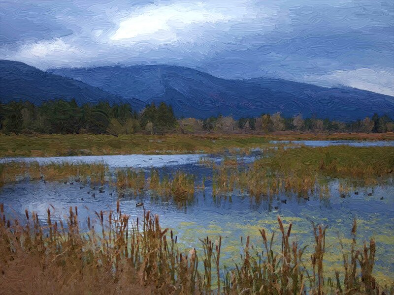 Marshland with Mountains — Blue
