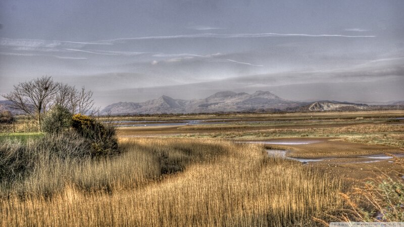 Marshland with Mountains — Brown