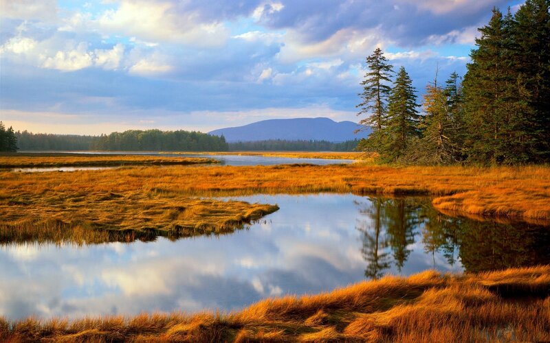 Marshland with Pond — Blue, Serene