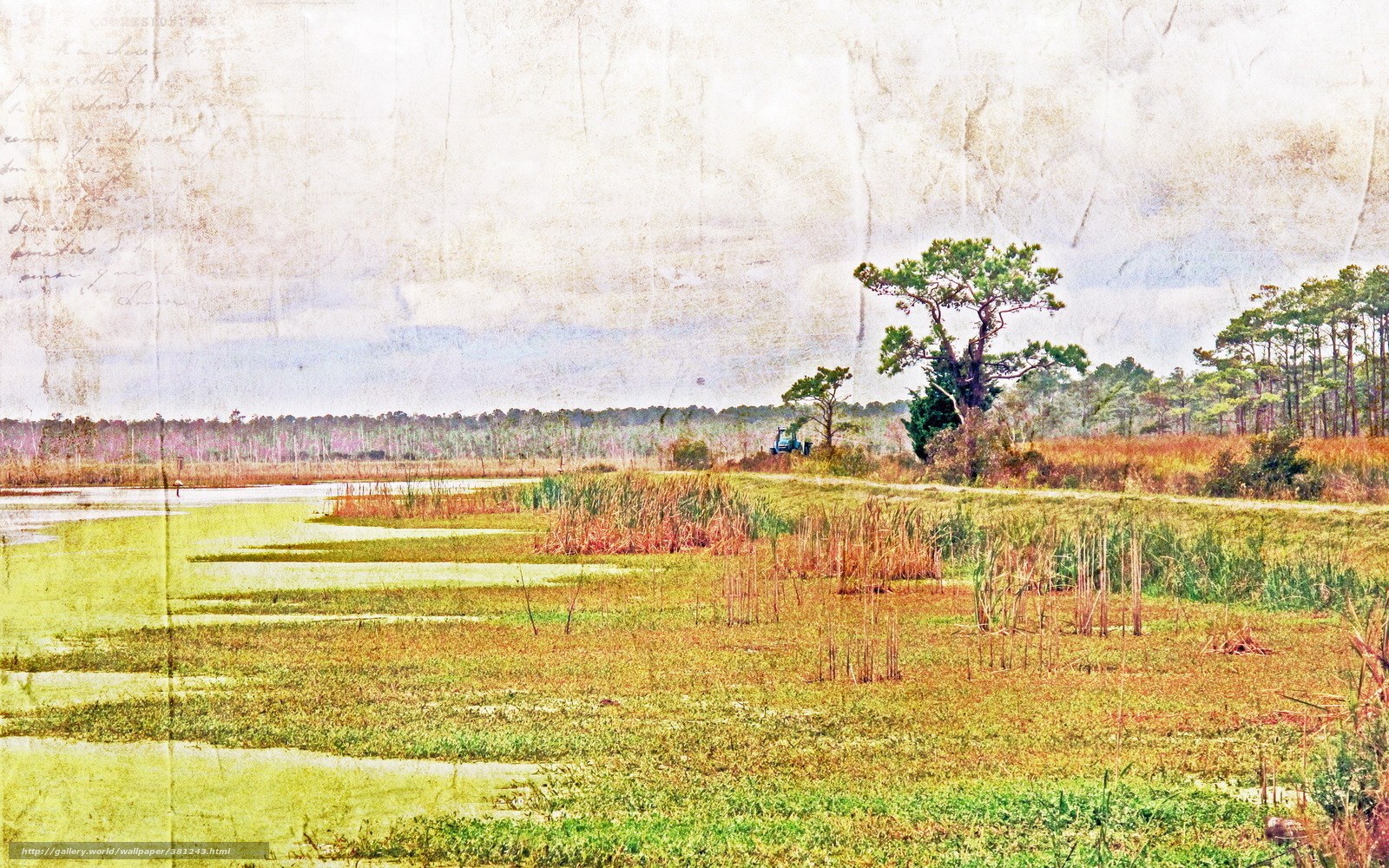 Marshland with trees and tractor