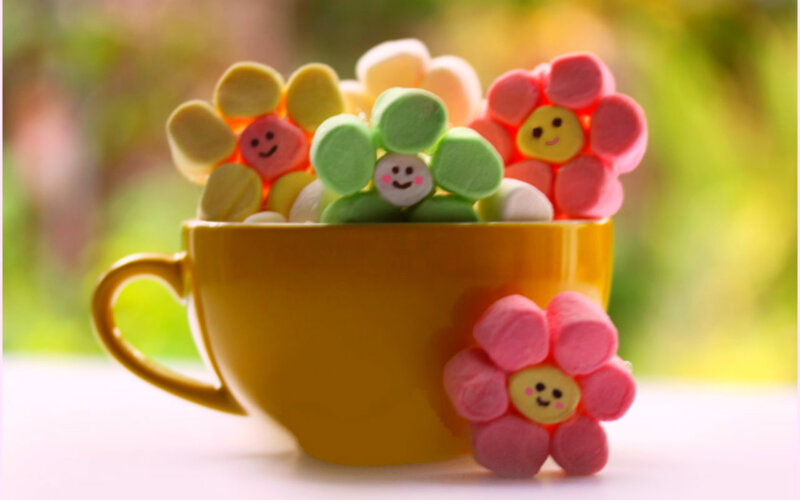 Marshmallow Flowers in Cup