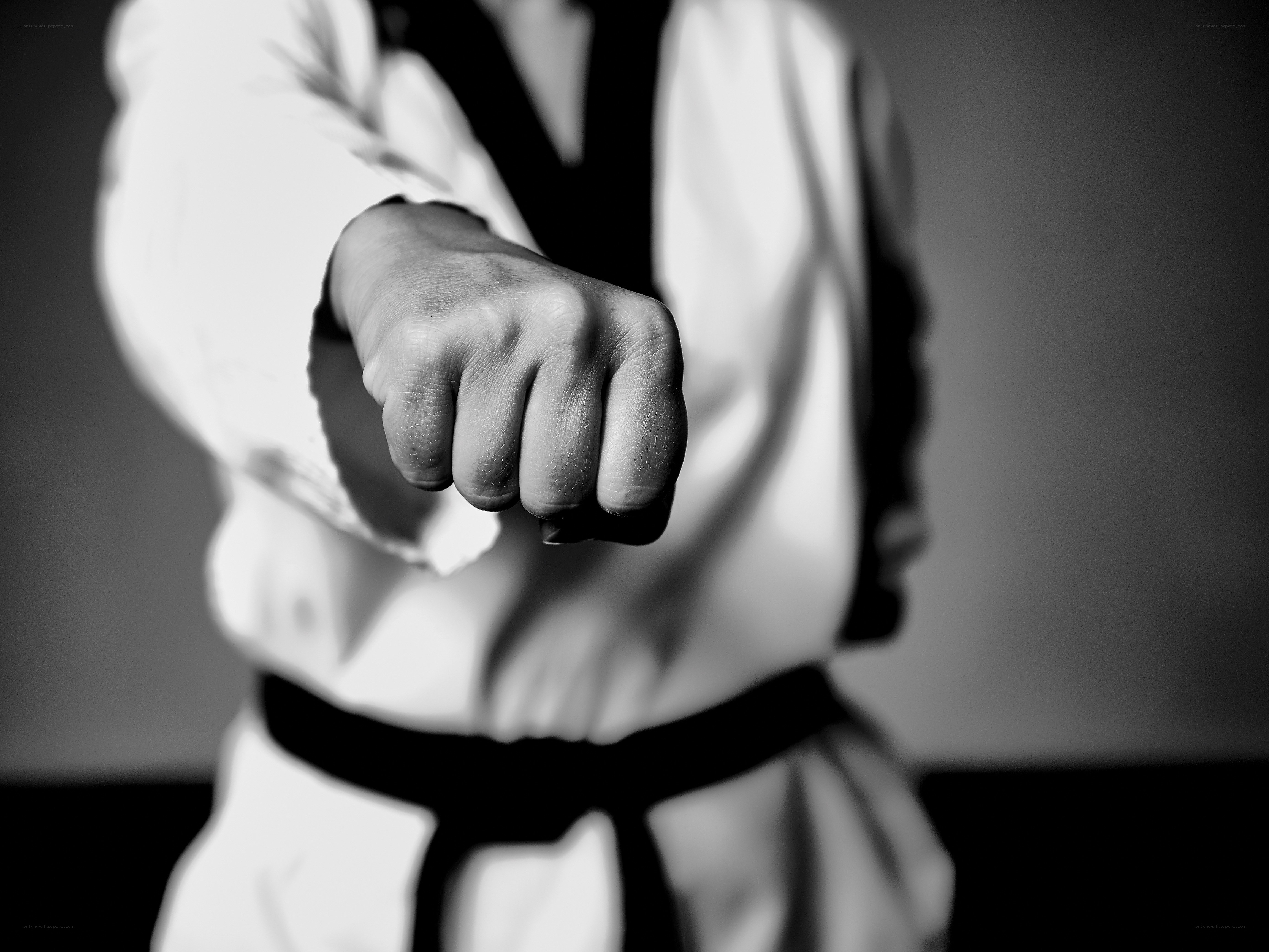 martial artist fist punch
