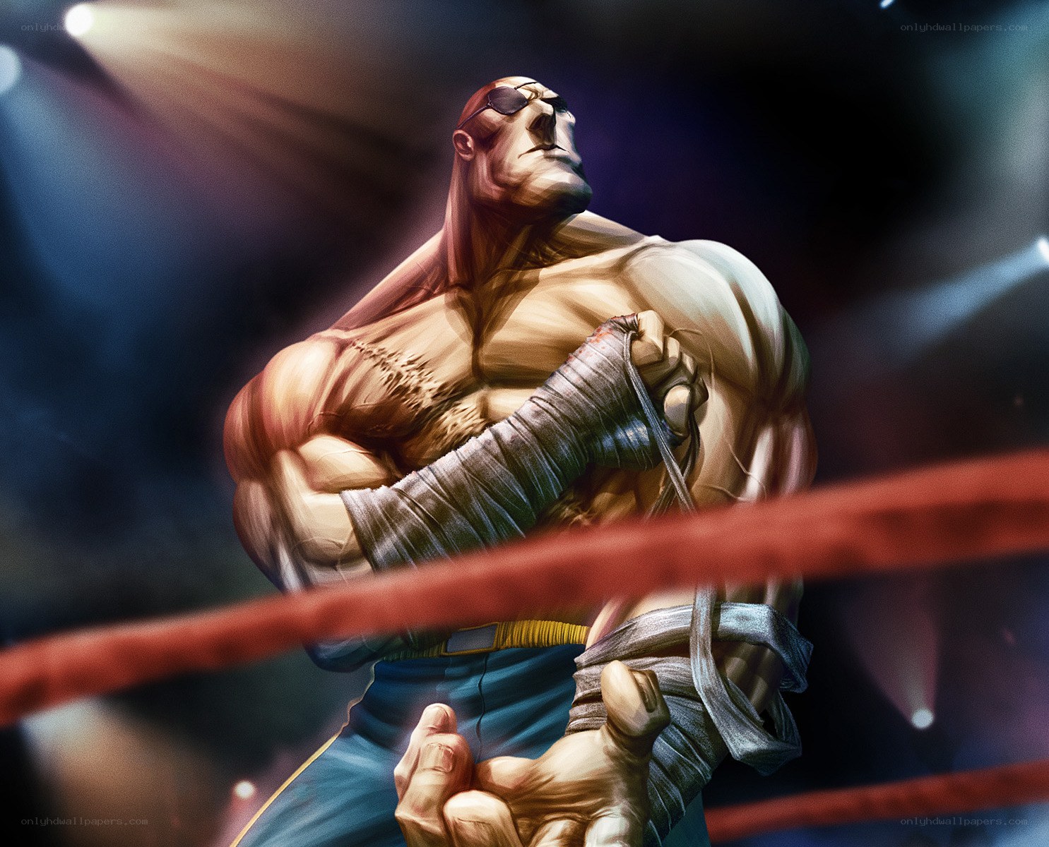 martial artist in ring