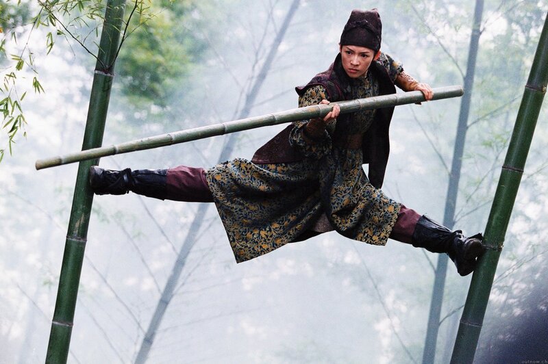 martial artist on bamboo pole