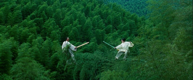 Martial arts duel in bamboo forest