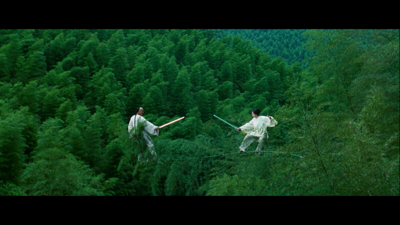 Martial arts duel in bamboo forest