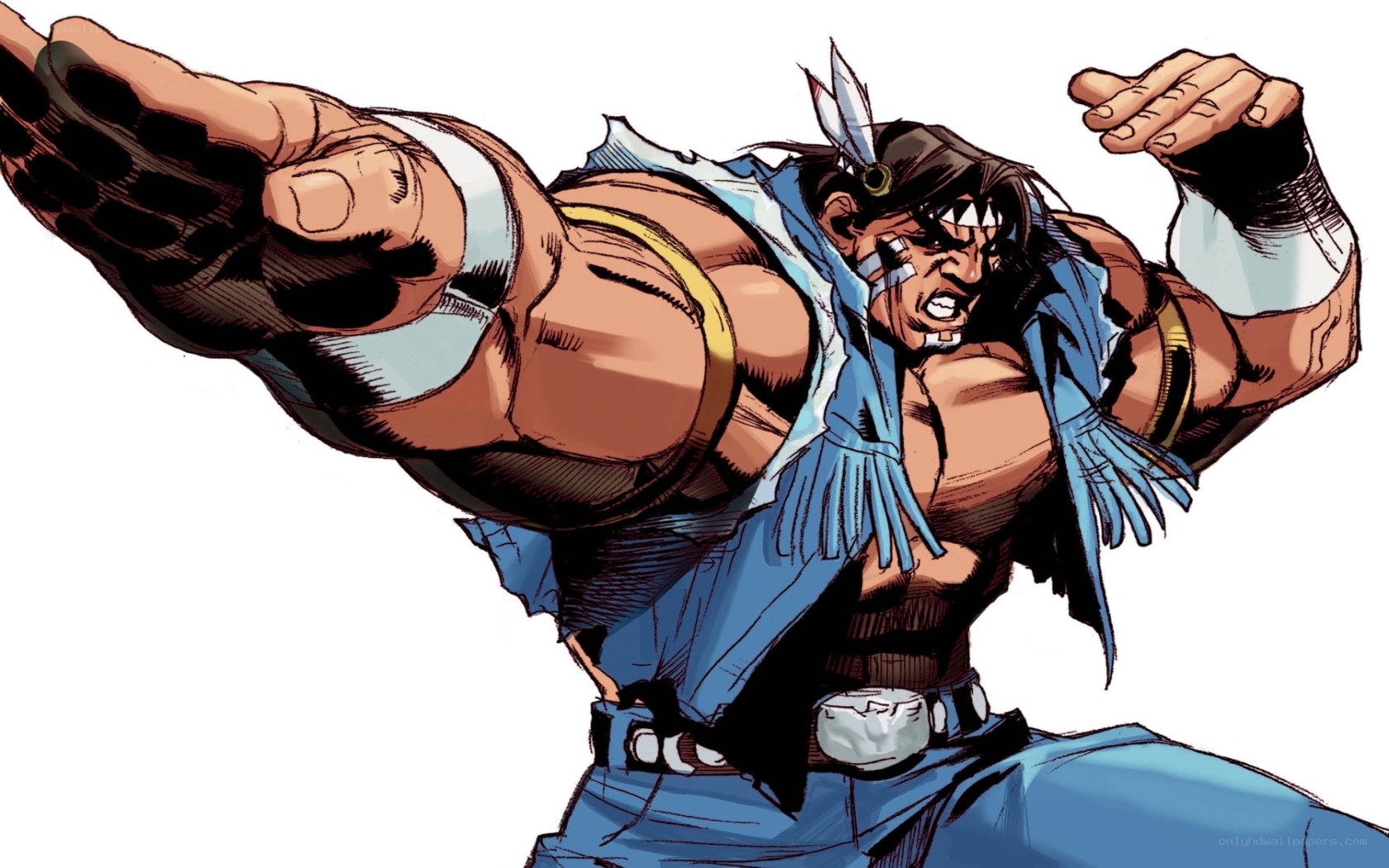 martial arts fighter character