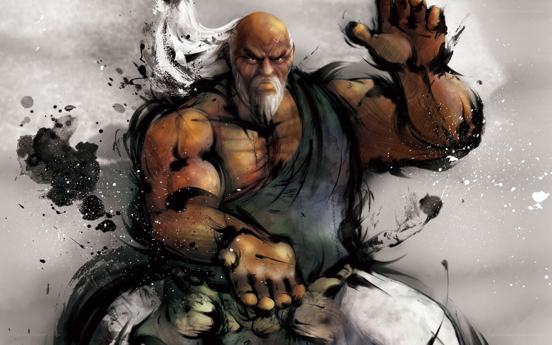 martial arts master in action