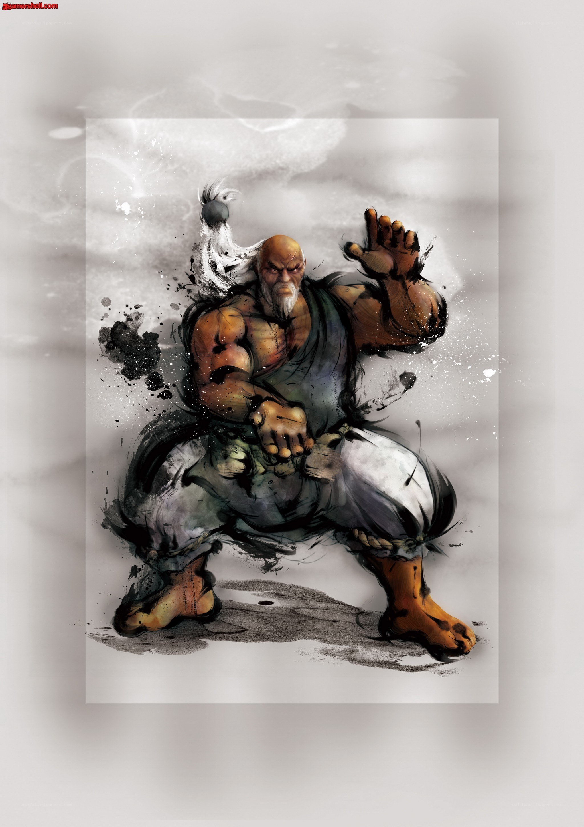 martial arts master in action