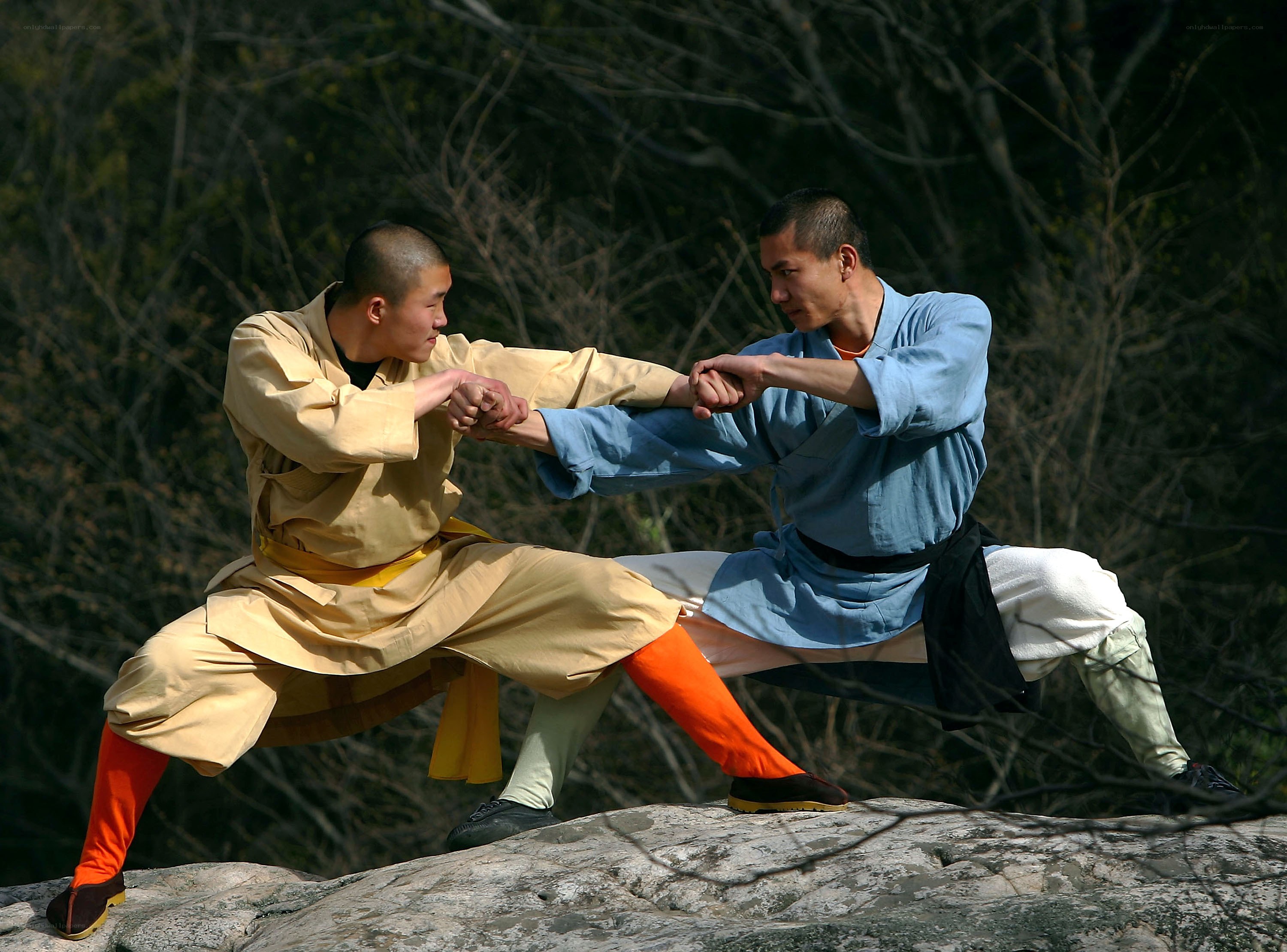 Martial arts practice on a rock