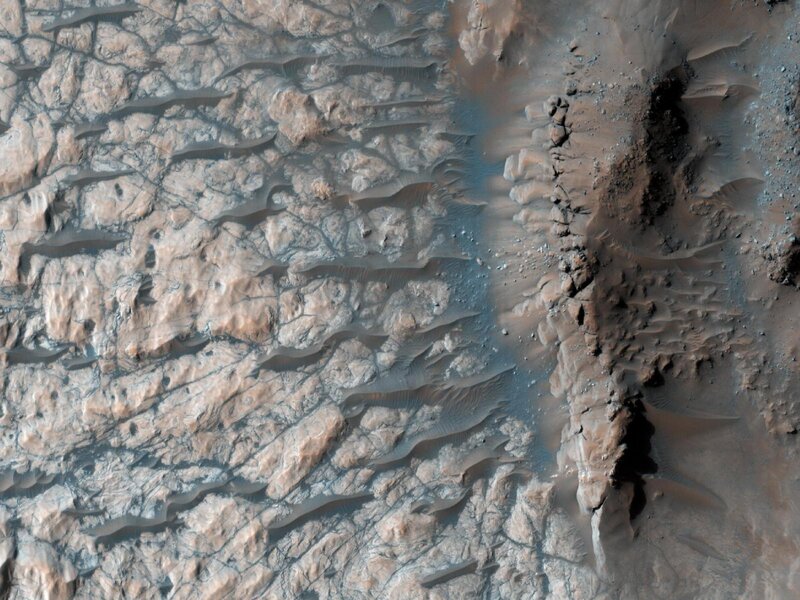 Martian dune field