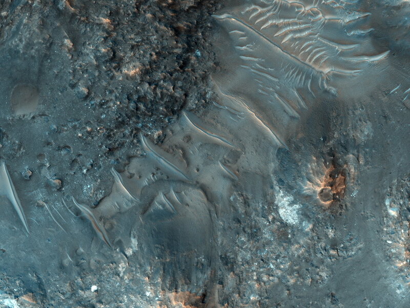 Martian dune field