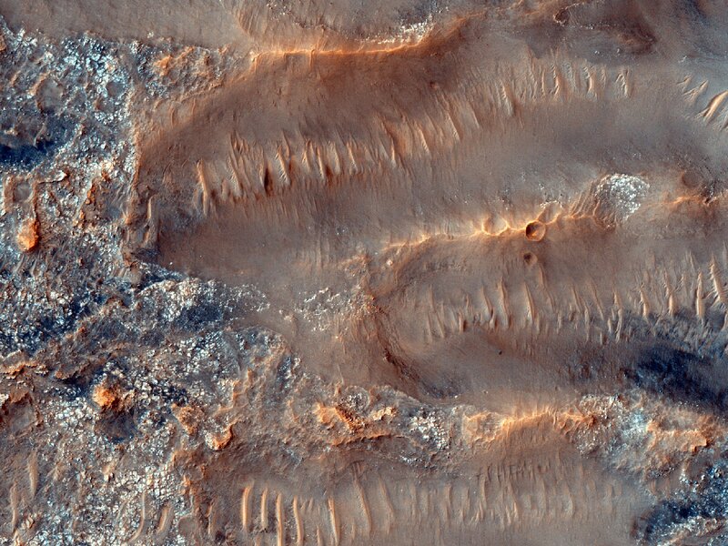 Martian dune field