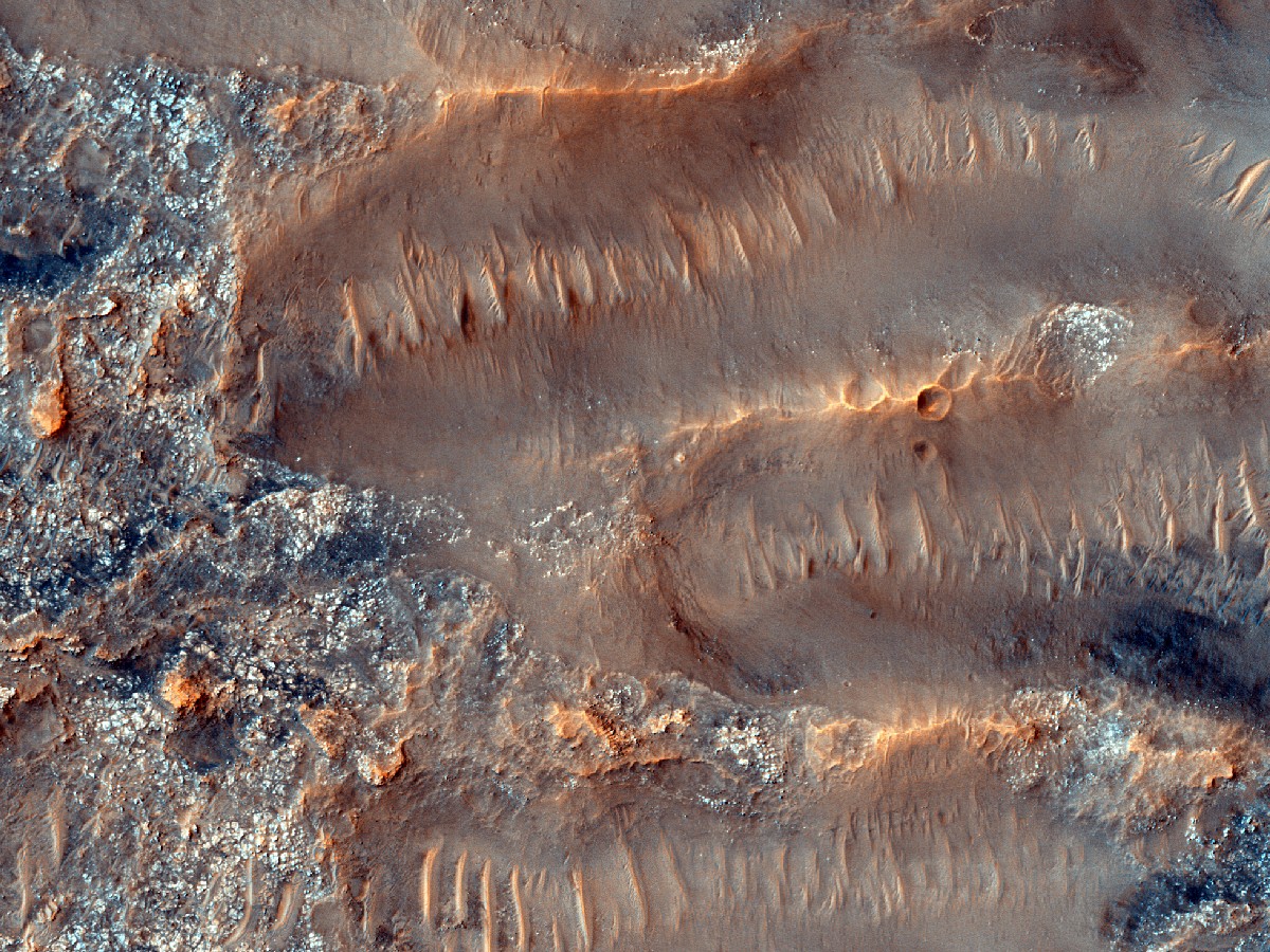 Martian dune field