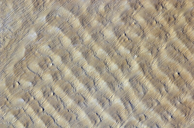 Martian dune field