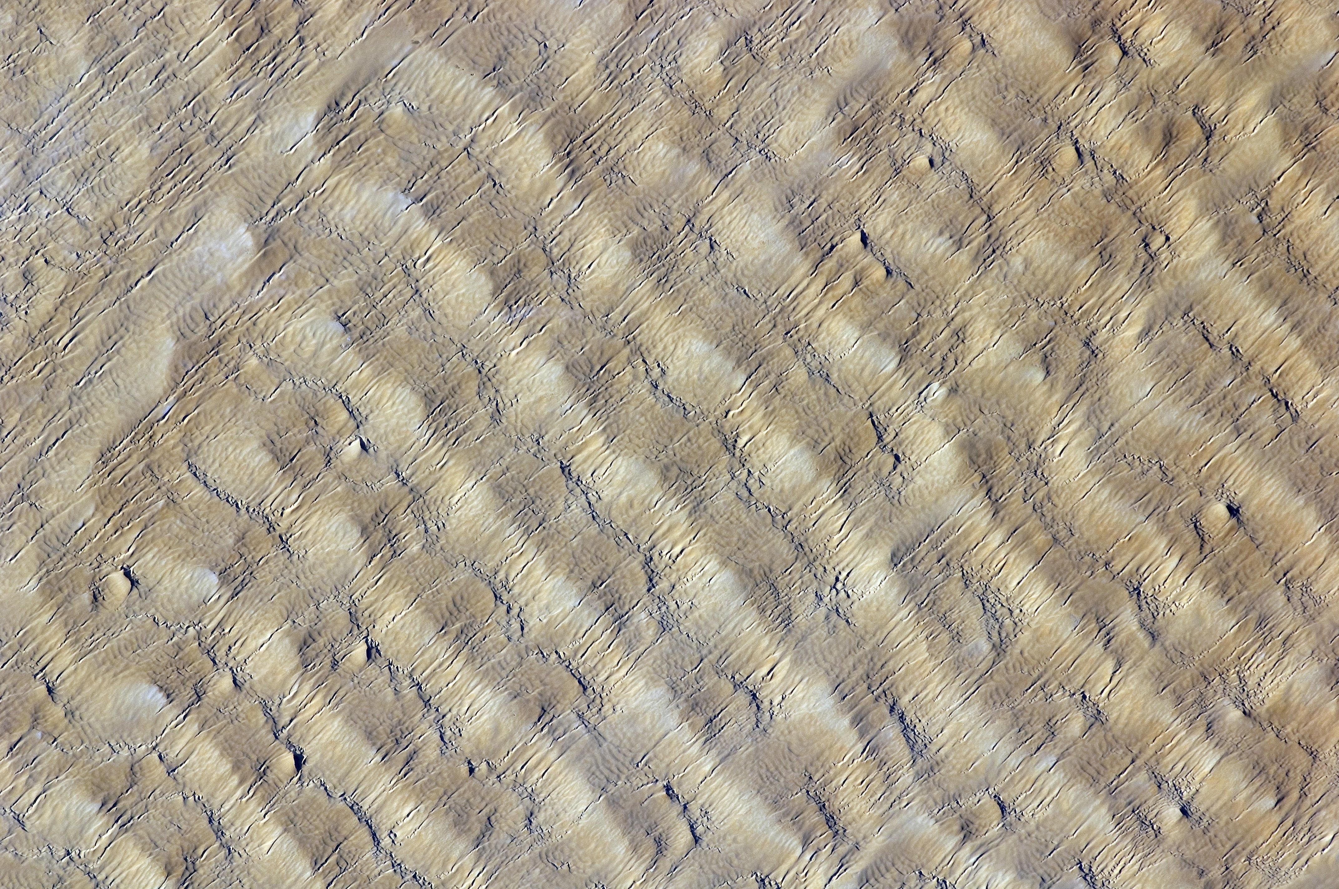 Martian dune field