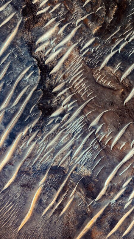 Martian Dunes