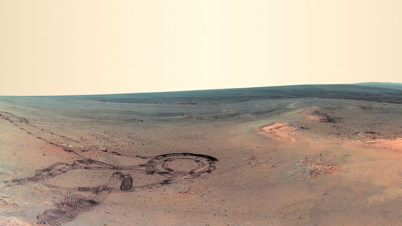 Martian Rover Tracks — Brown