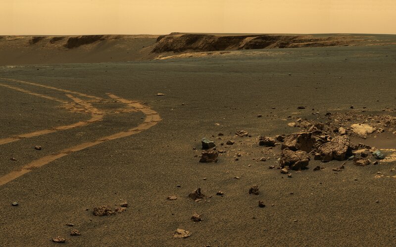 Martian Rover Tracks
