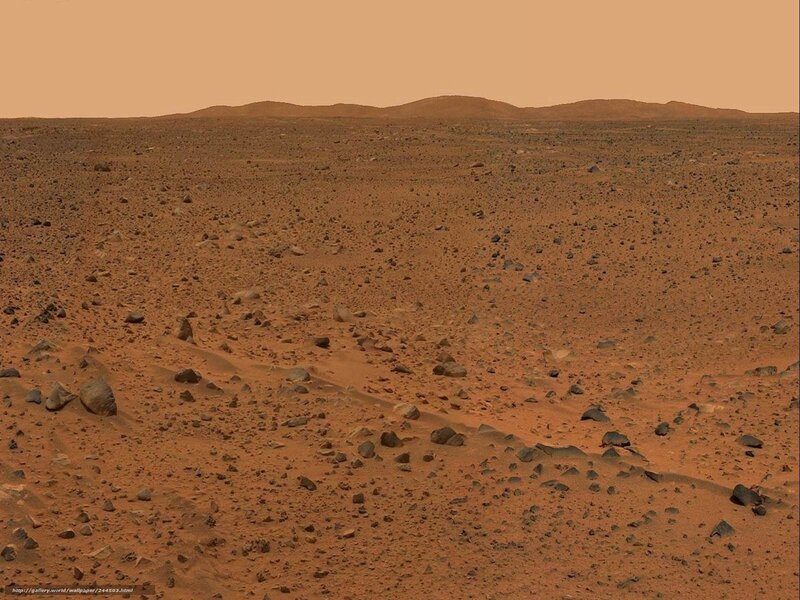 Martian Surface Landscape — Brown