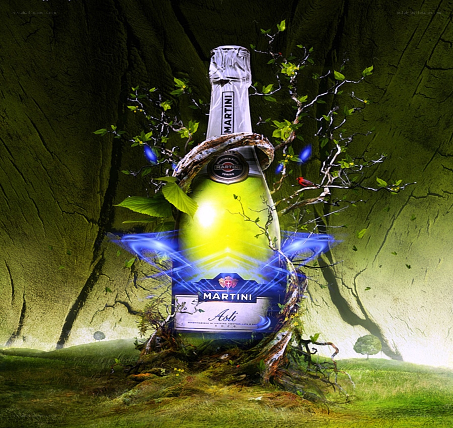 Martini Asti bottle in forest