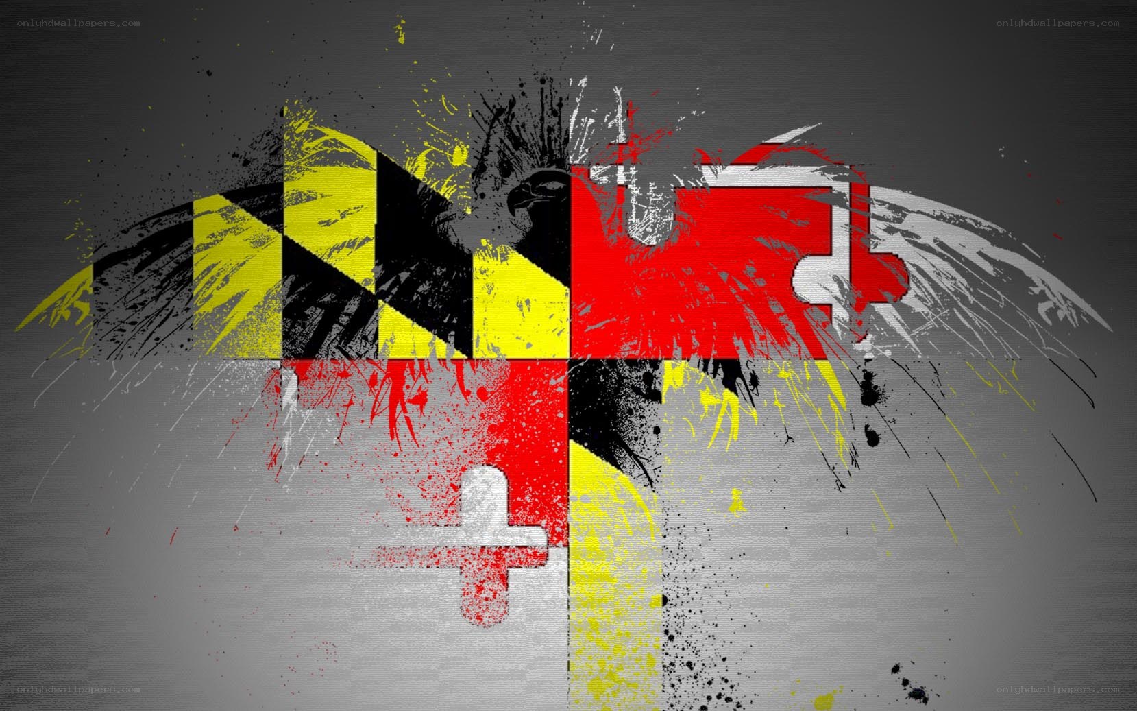 Maryland flag with grunge art