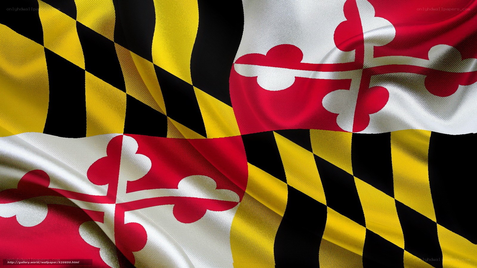 Maryland state flag waving