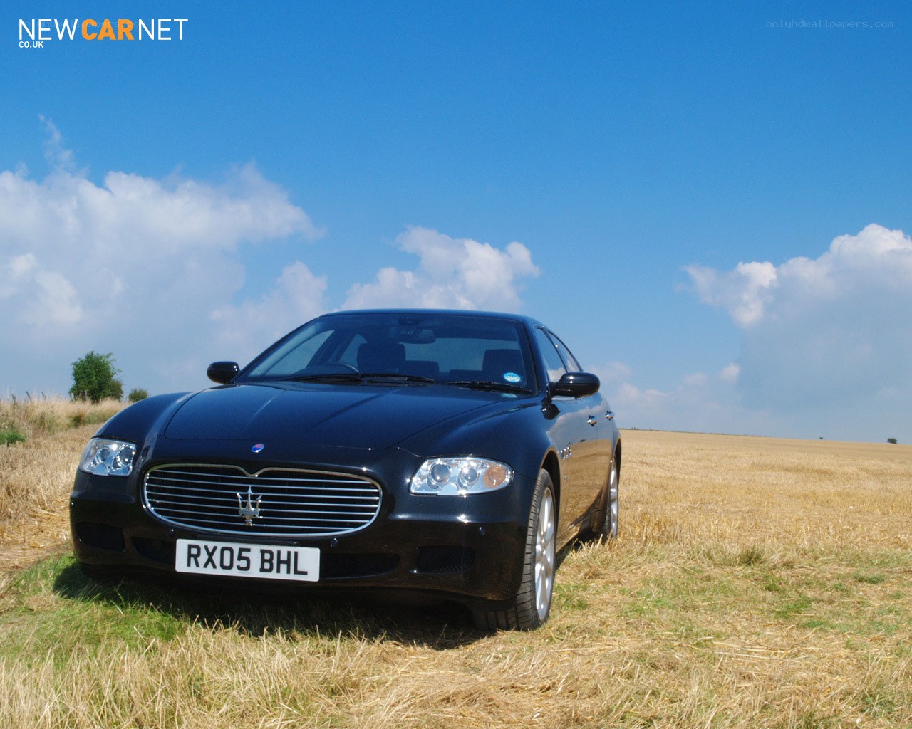 Maserati in a field