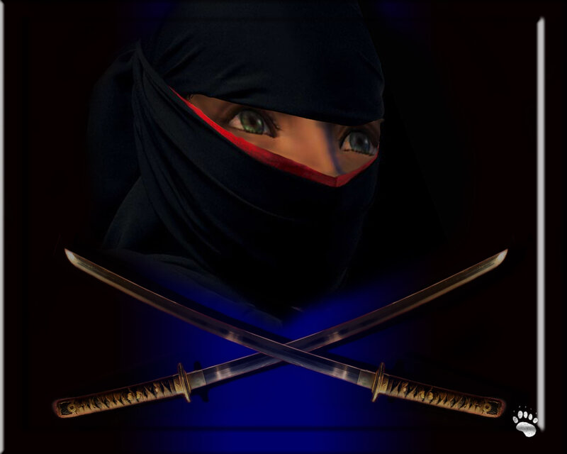 Masked Ninja with Swords