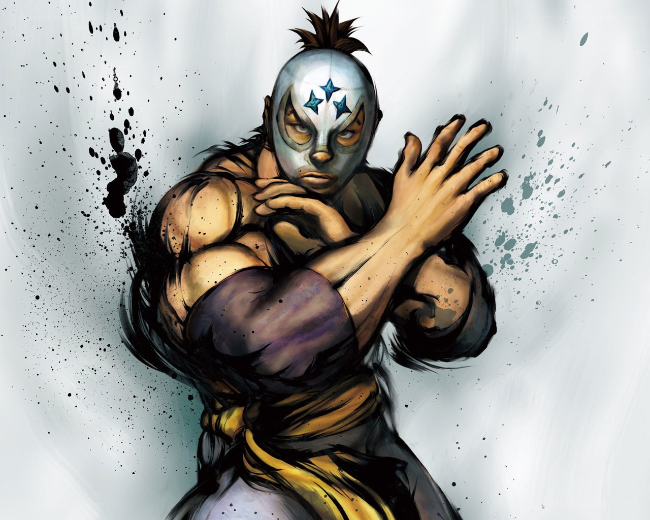 masked wrestler in fighting stance