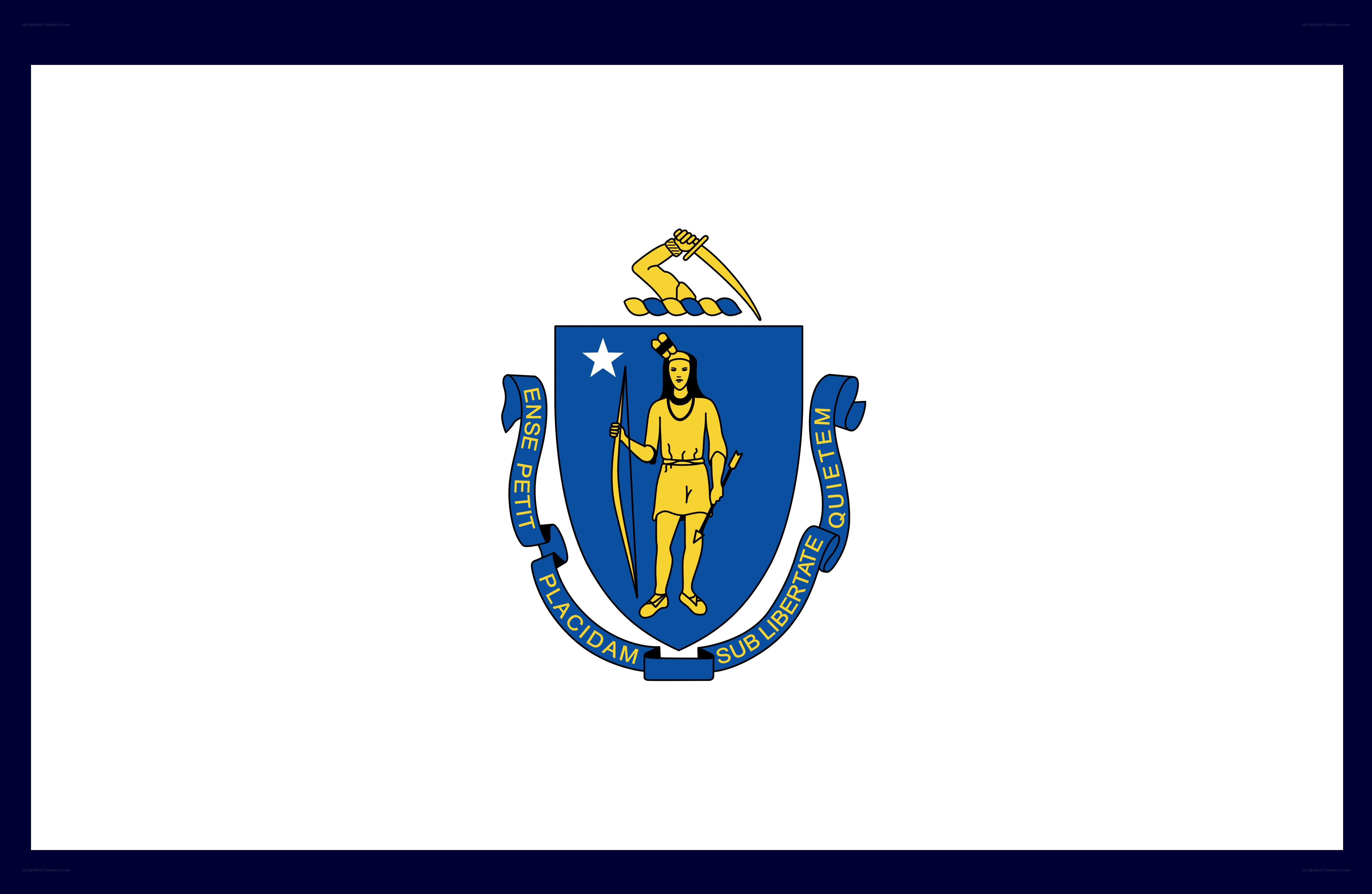 Massachusetts state flag