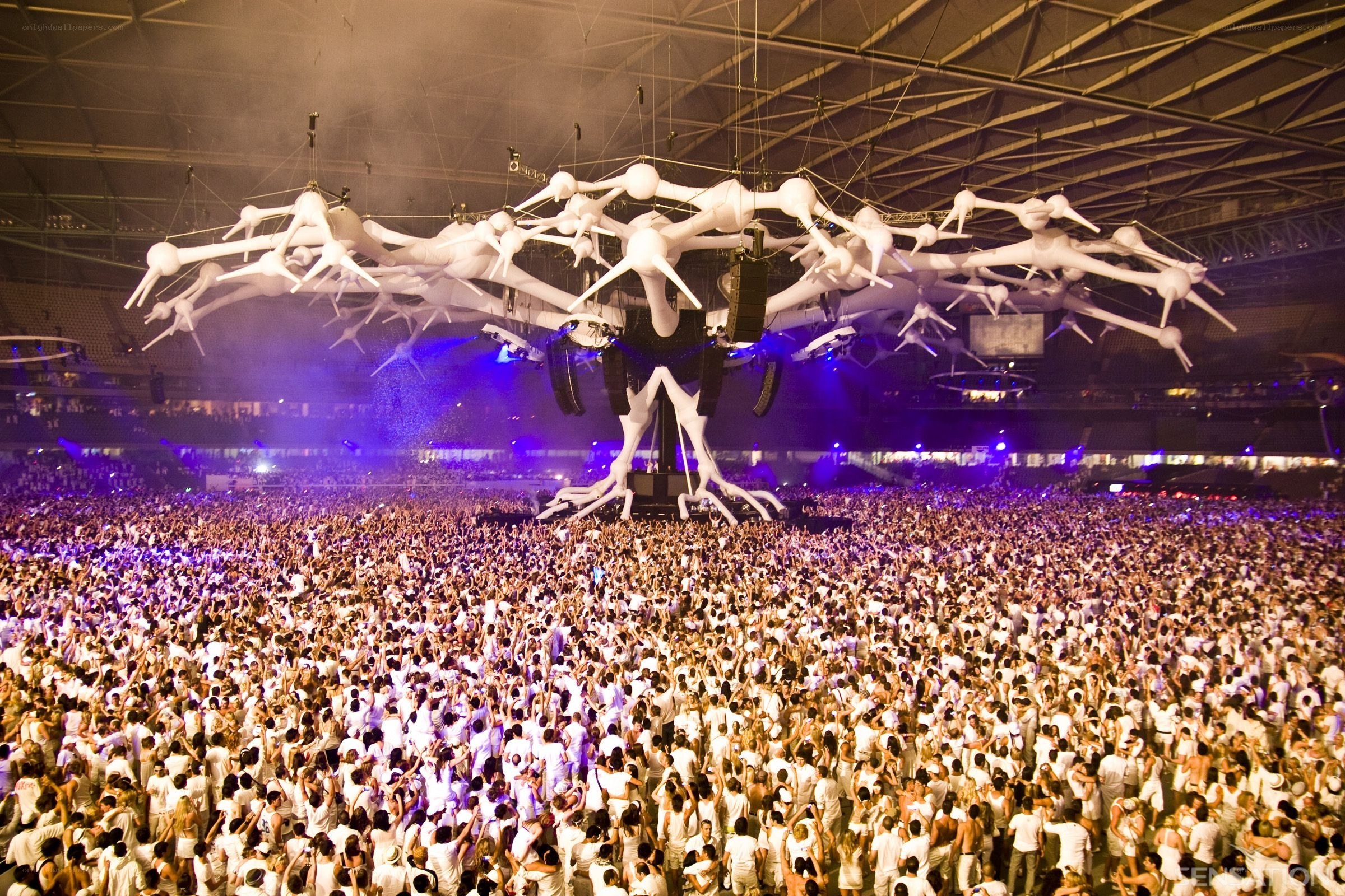 Massive concert crowd with art installation