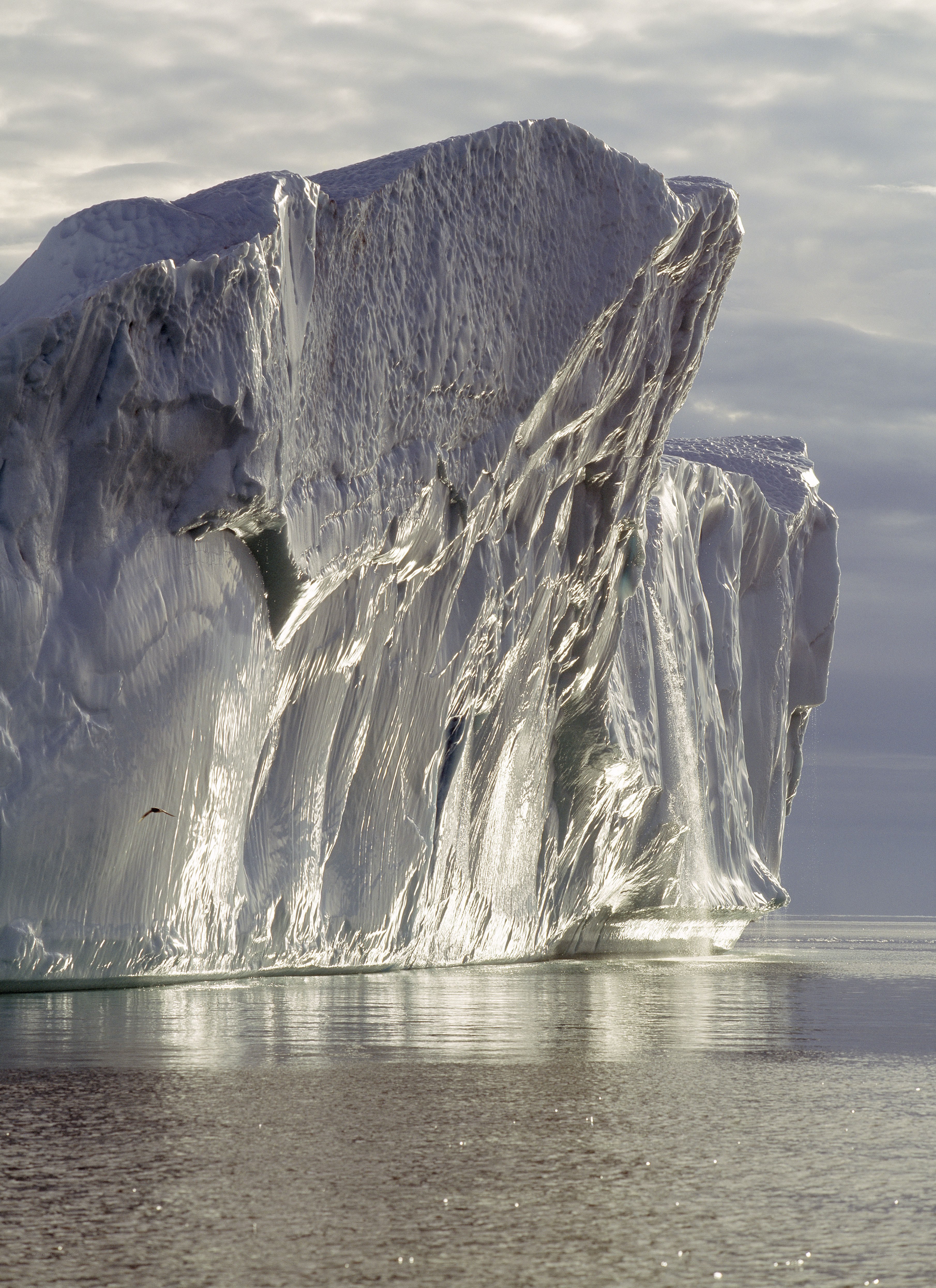 Massive iceberg in calm waters
