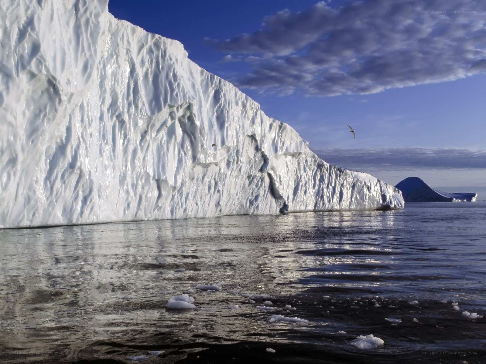 Massive iceberg in polar waters