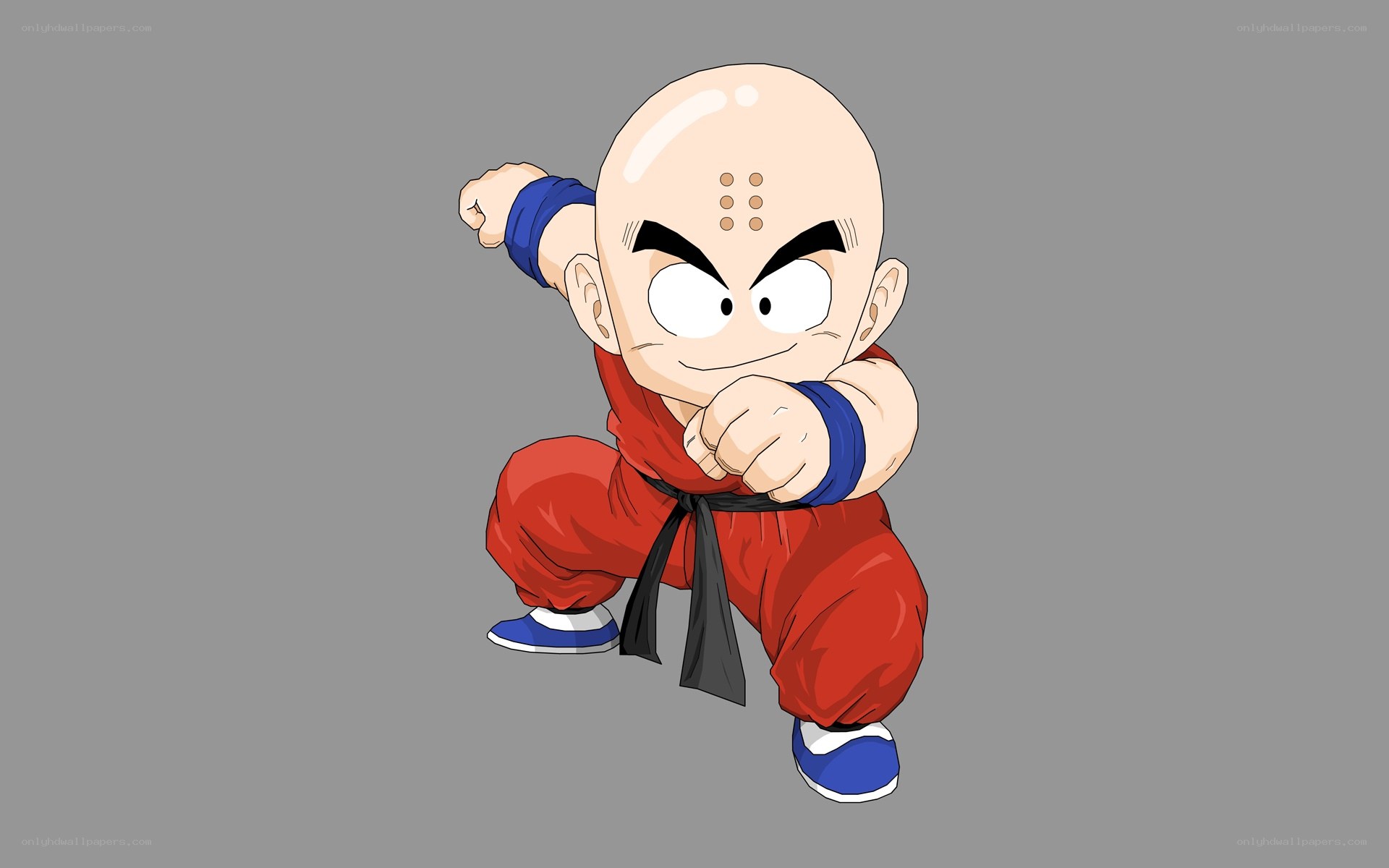 Master Roshi martial arts pose