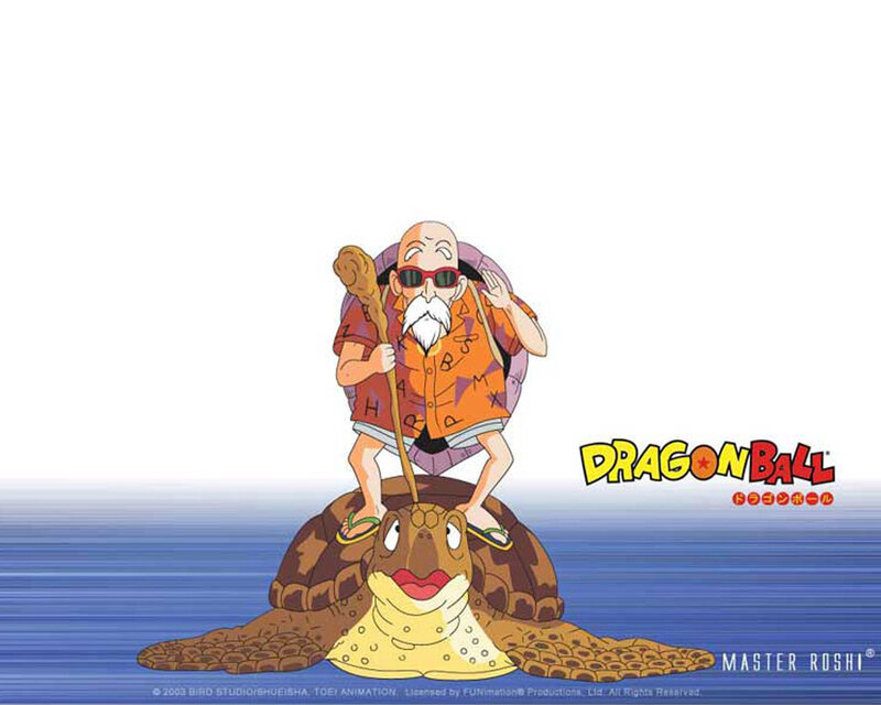 Master Roshi on Turtle
