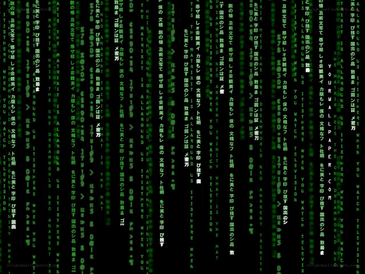 Matrix code rain wallpaper