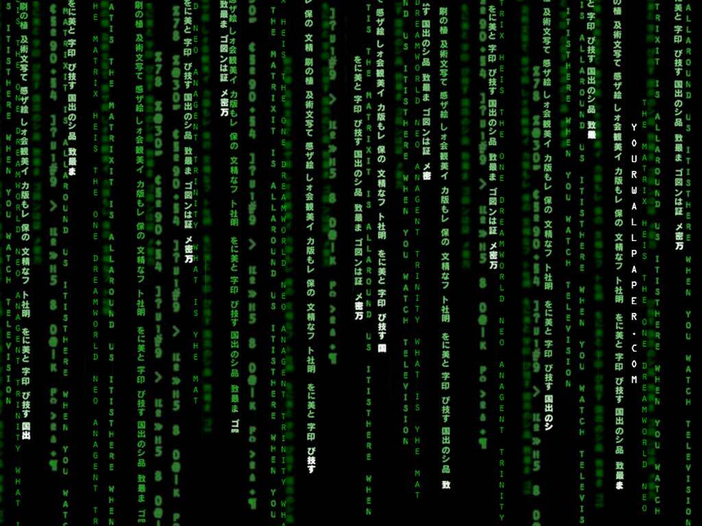 Matrix code rain wallpaper
