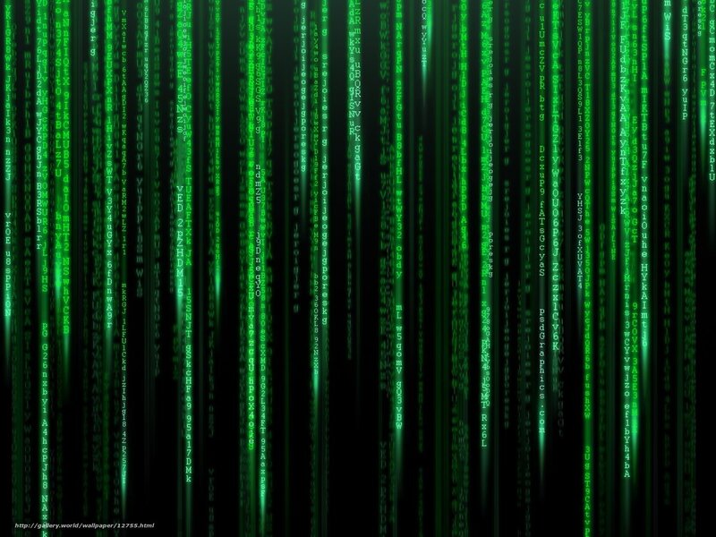 Matrix code rain wallpaper
