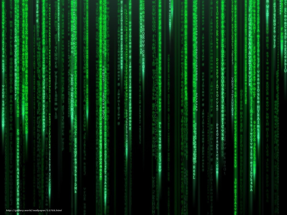 Matrix code rain wallpaper