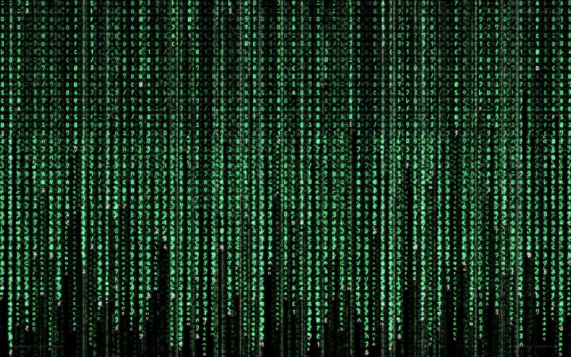 Matrix digital rain