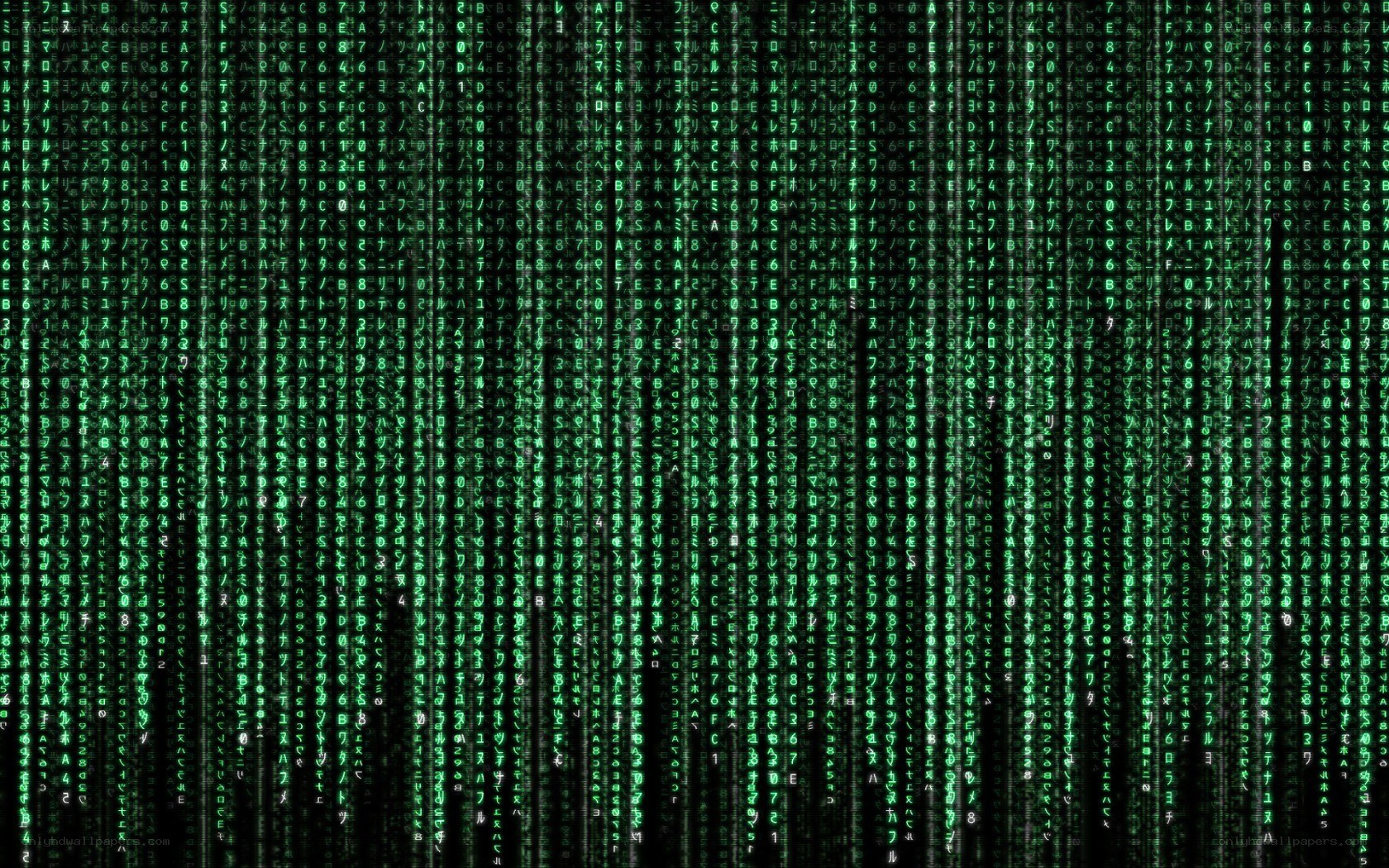Matrix digital rain