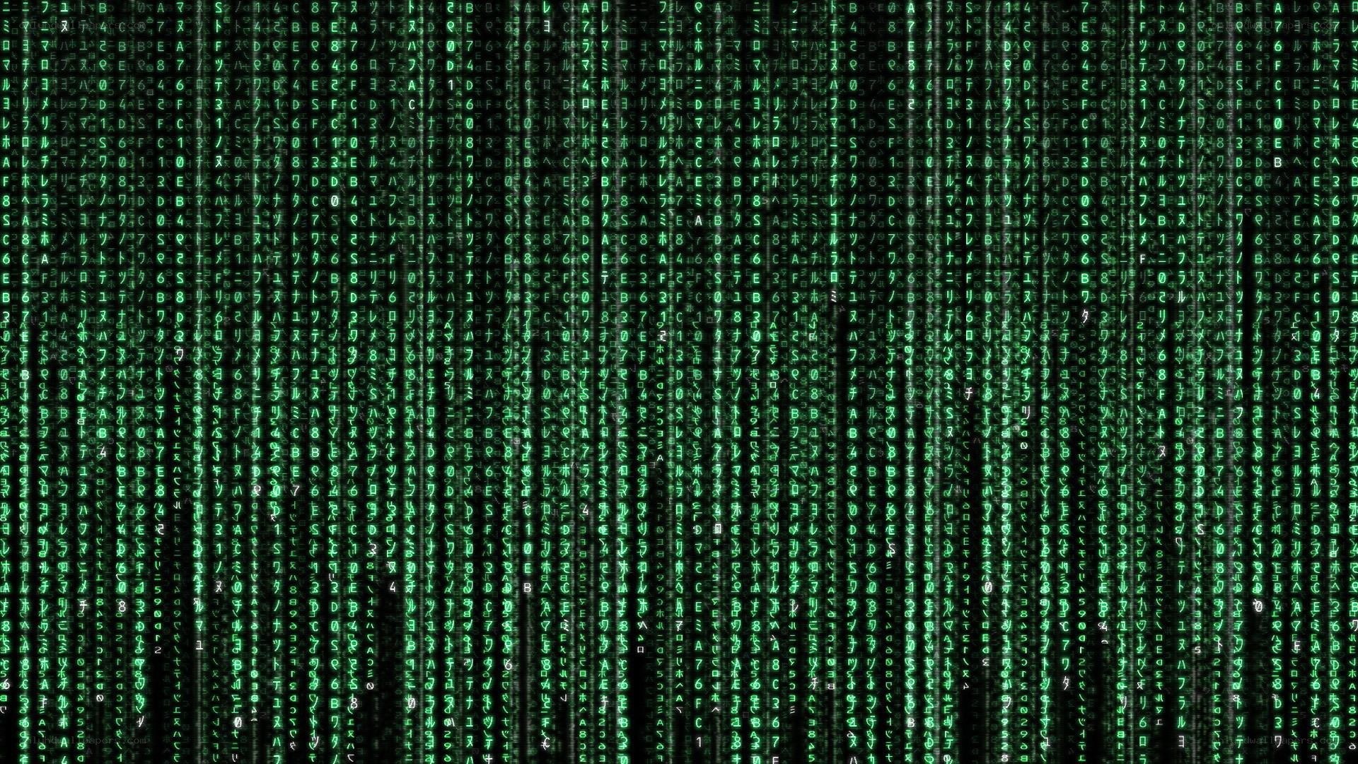 Matrix digital rain