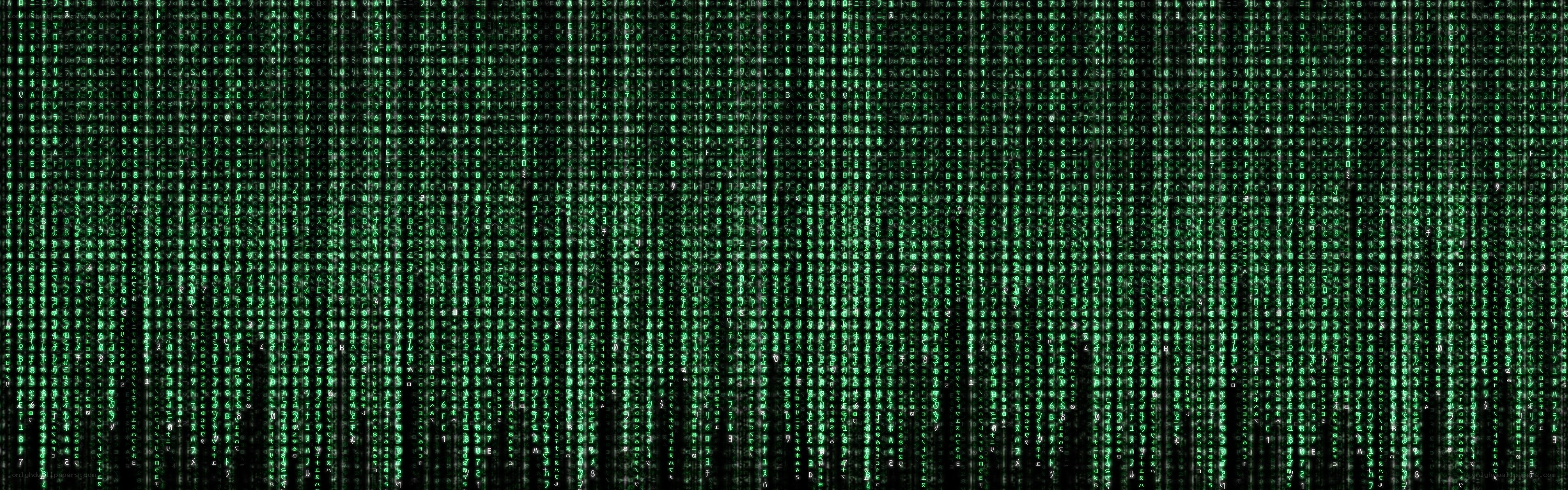 Matrix digital rain