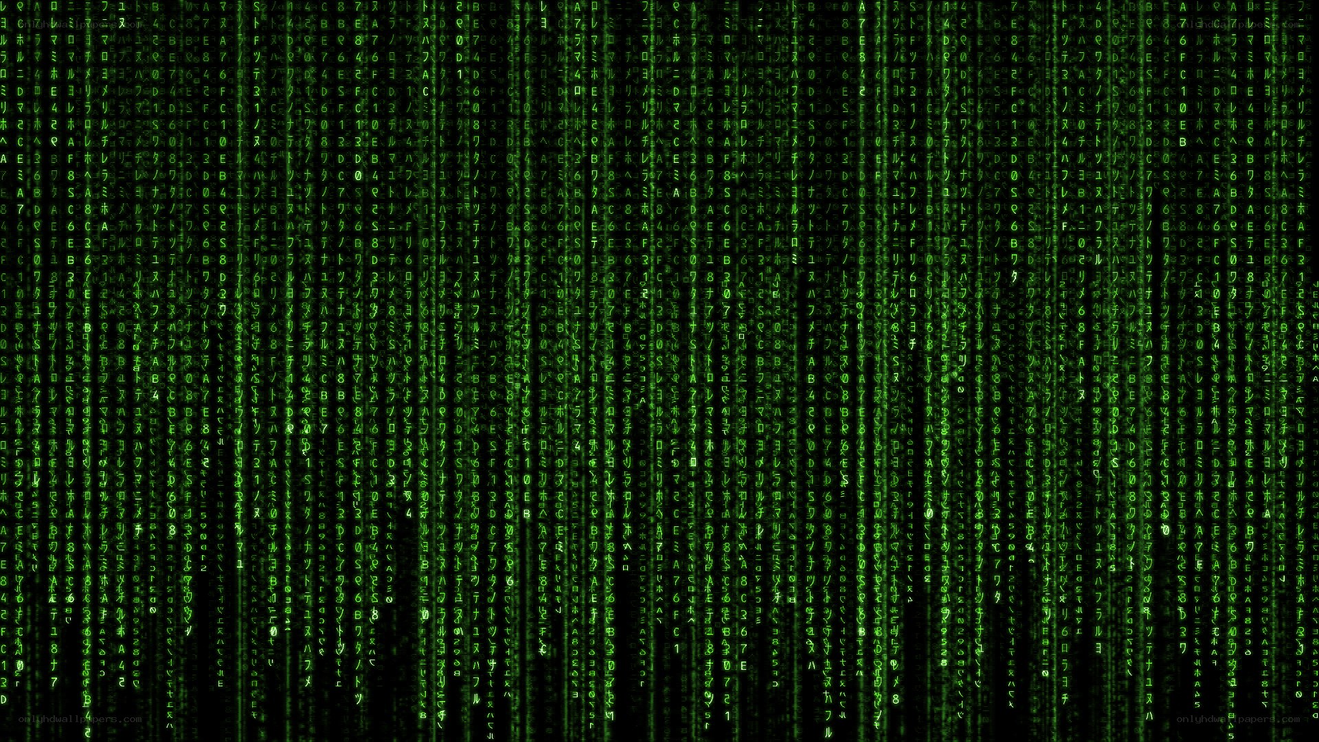 Matrix digital rain